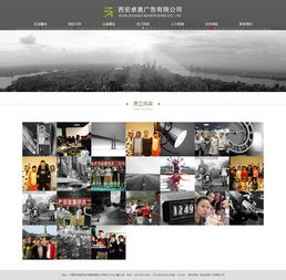 西安卓奧廣告與硅峰網(wǎng)絡(luò) 企業(yè)信息化建設(shè)的專業(yè)伙伴